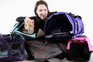 Перевозка животных по ЕС